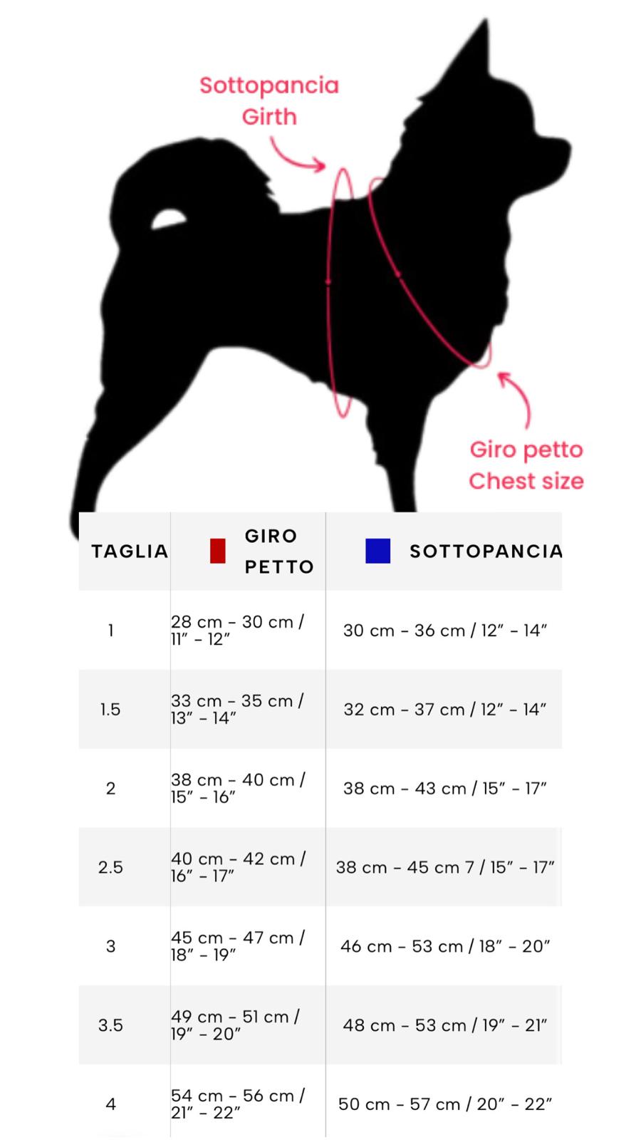 Pettorina tre ponti Easy Fit Click